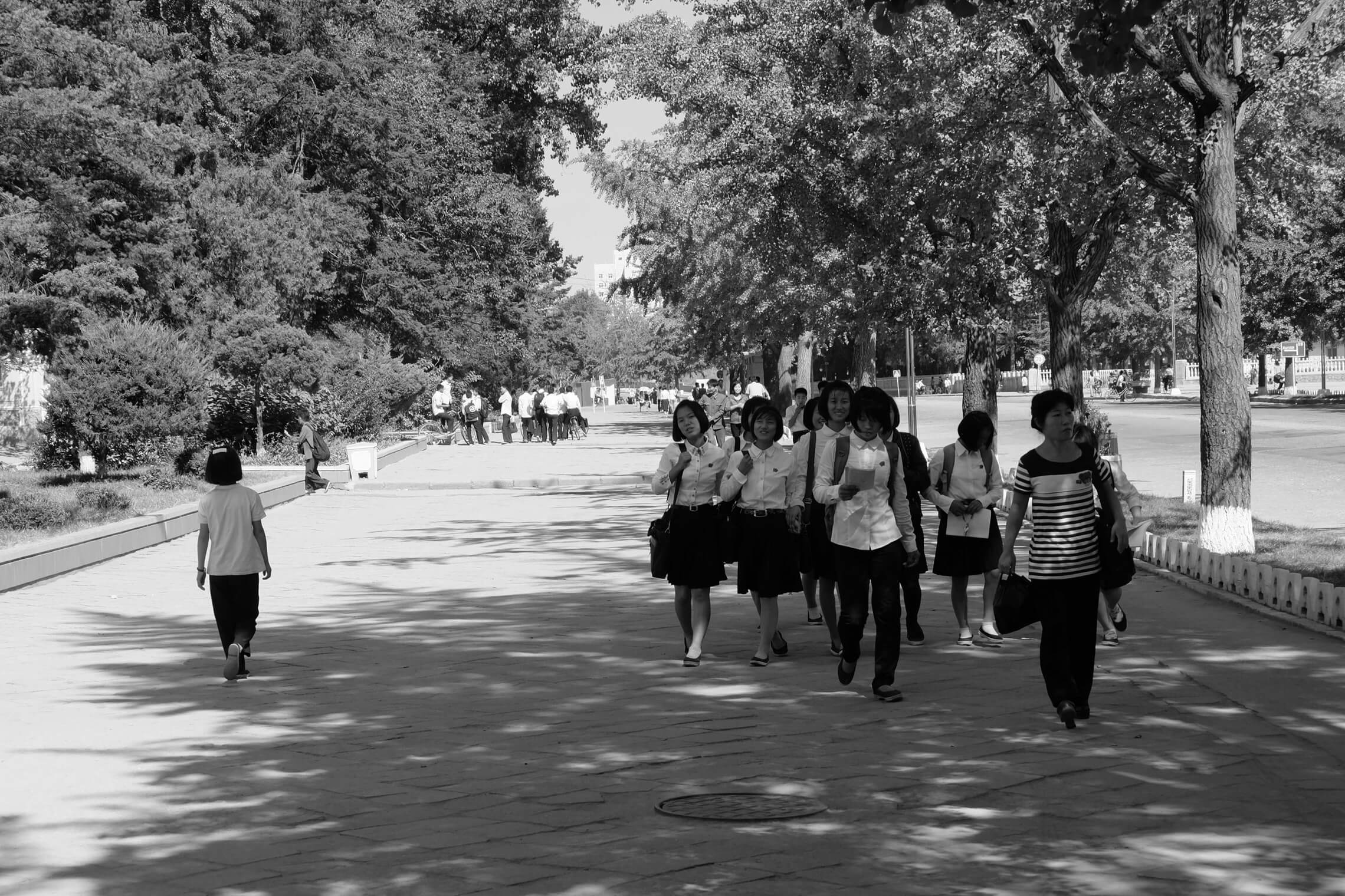 North Korea Gallery - Image 10