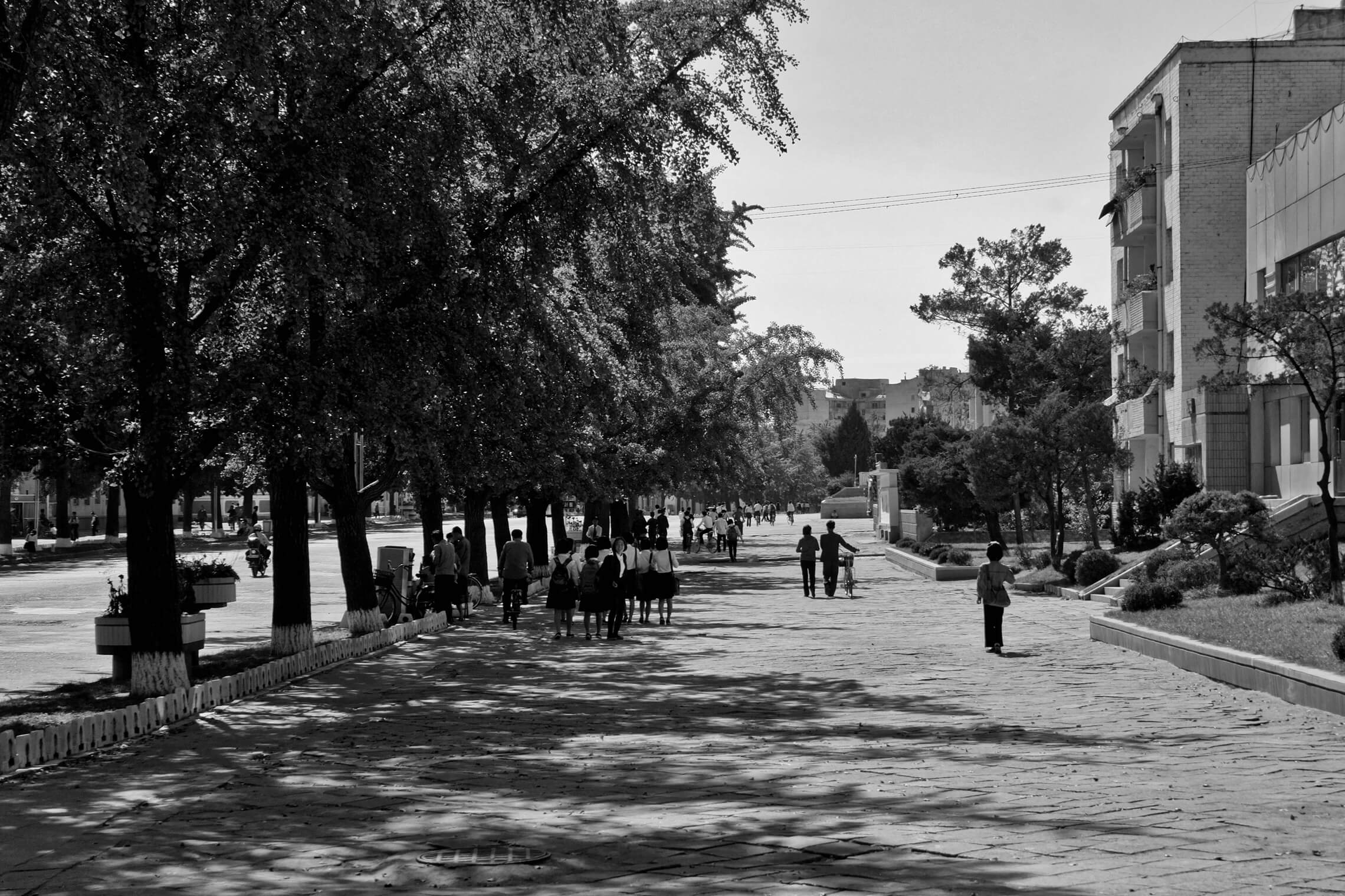 North Korea Gallery - Image 11