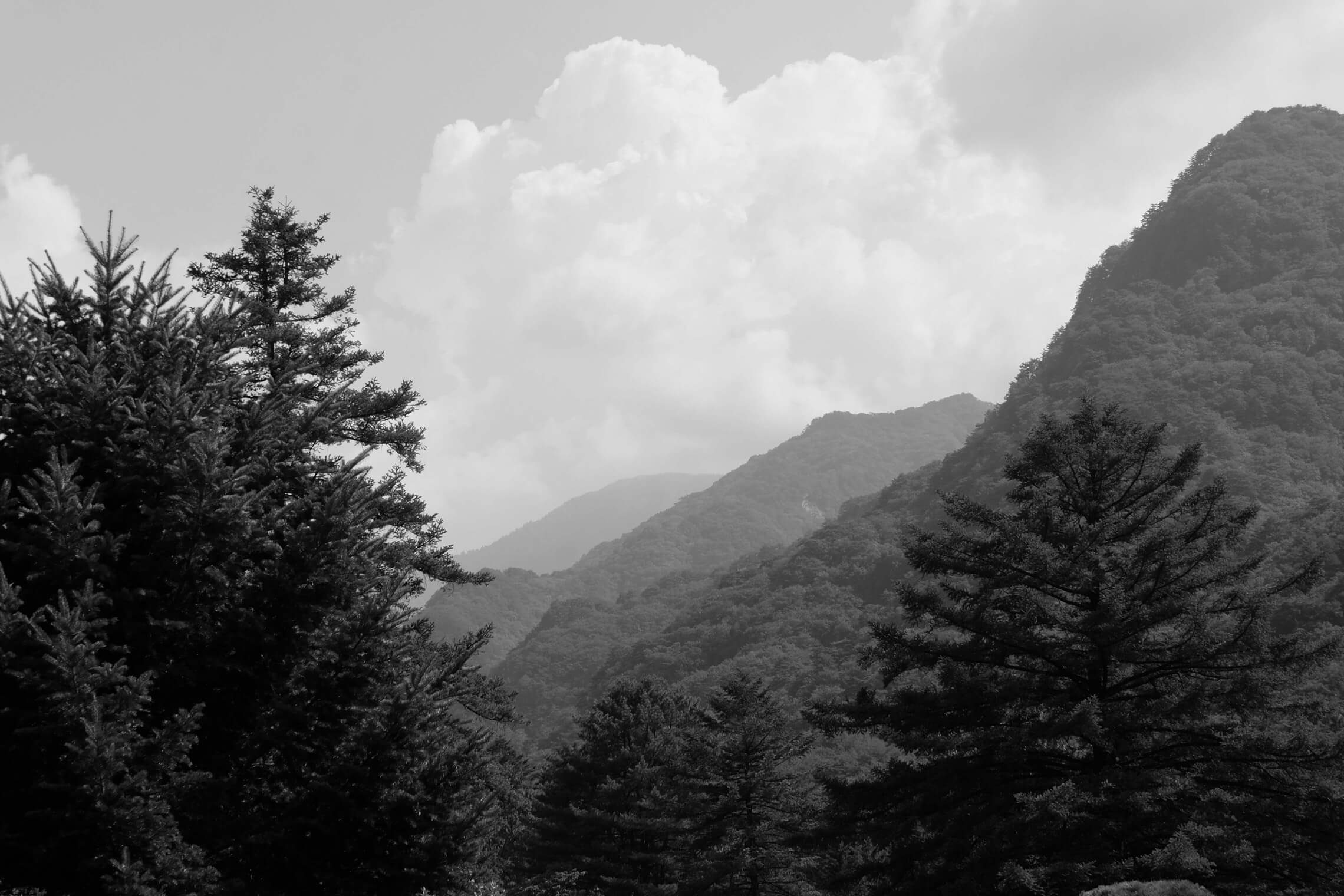 North Korea Gallery - Image 20