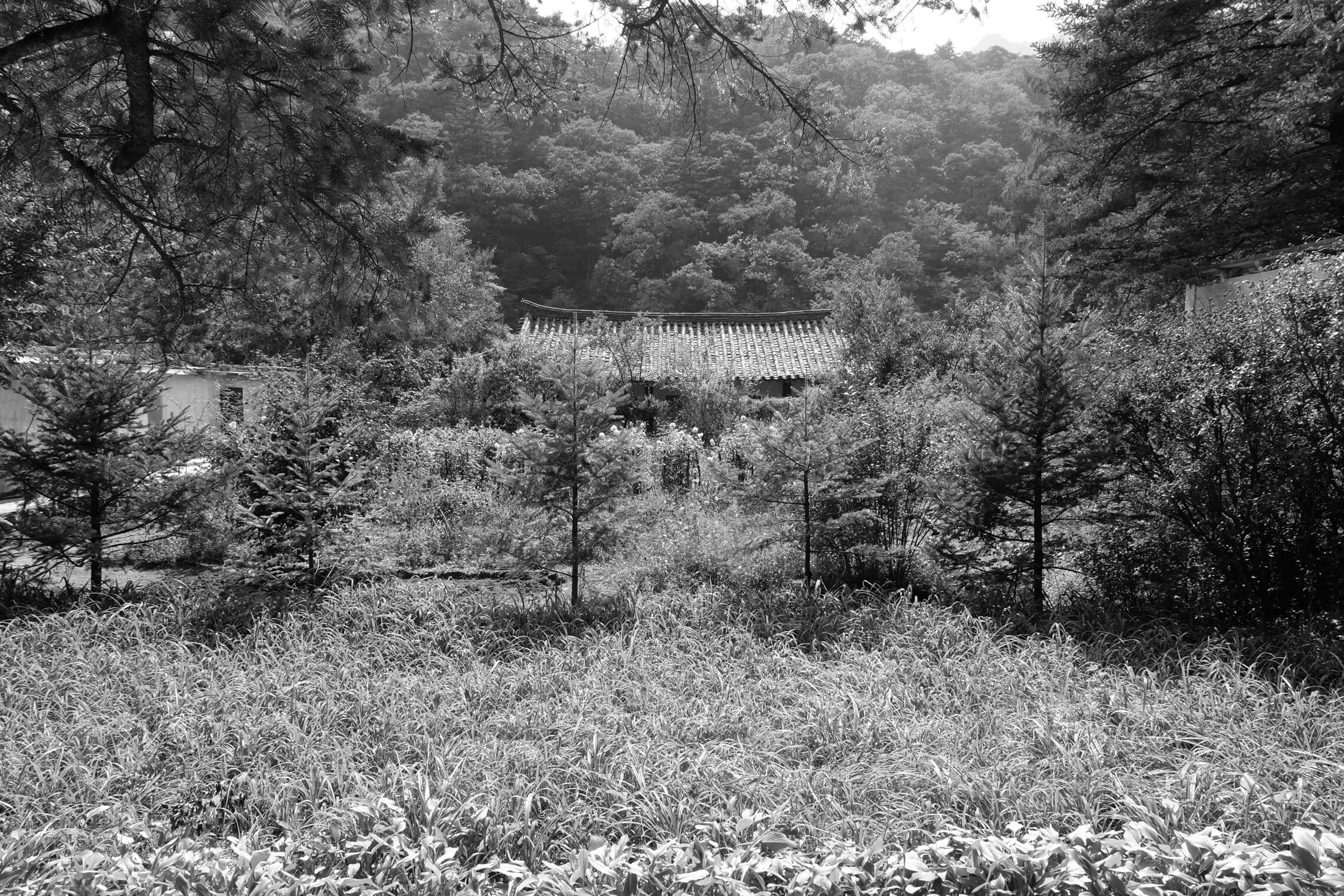 North Korea Gallery - Image 24