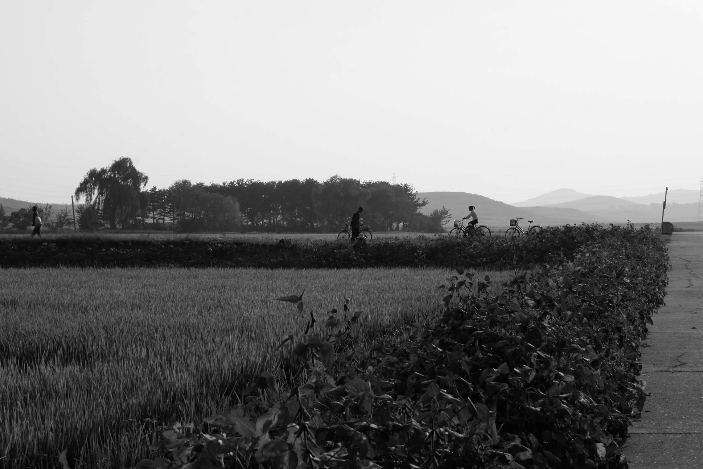 North Korea Gallery - Image 31