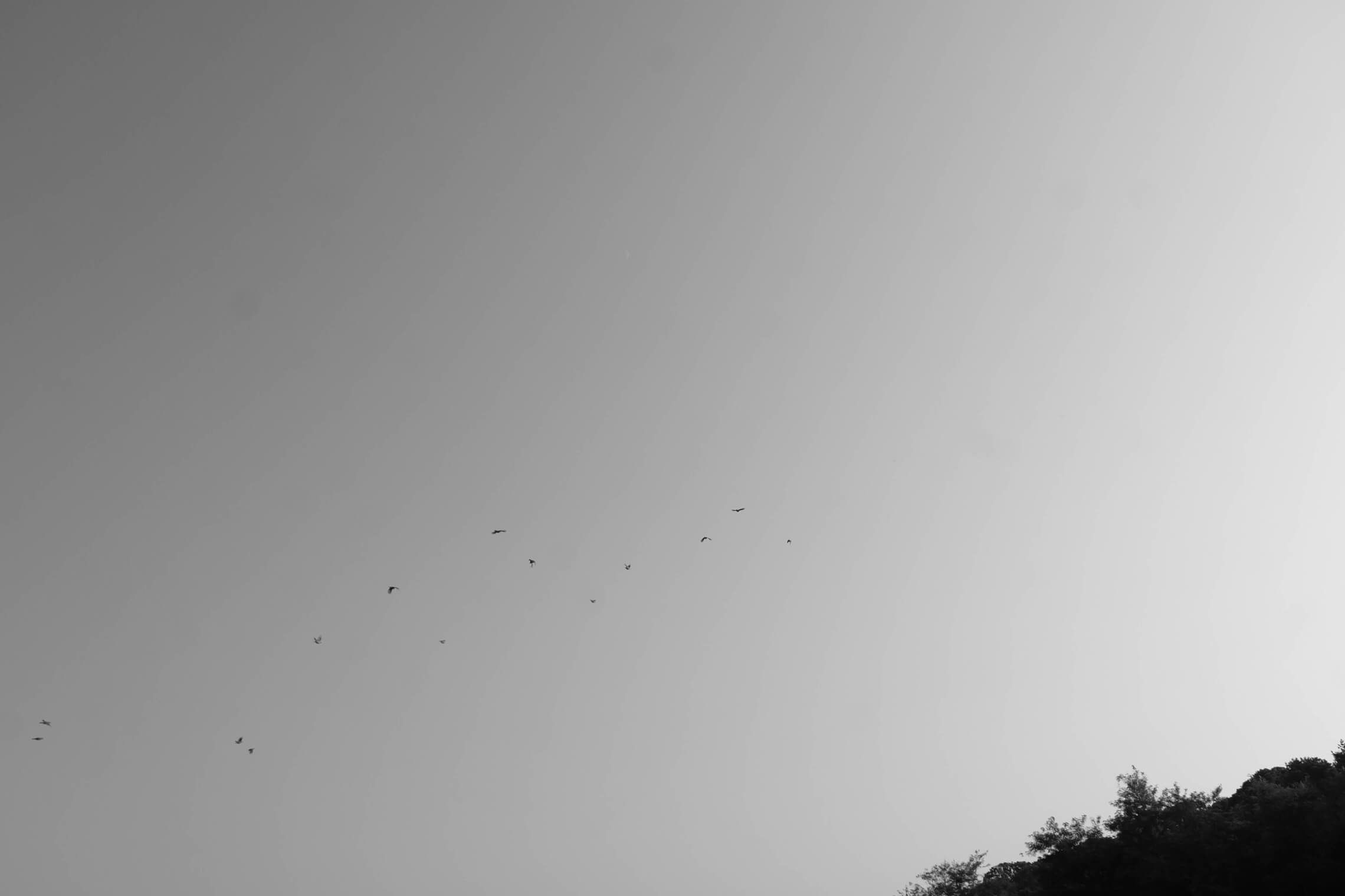 North Korea Gallery - Image 35