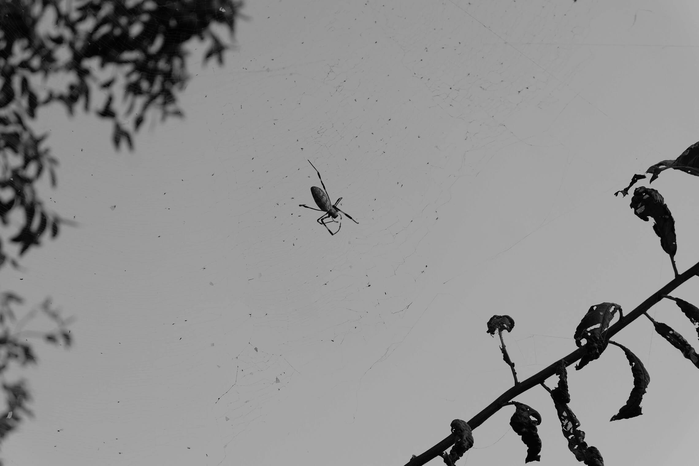 North Korea Gallery - Image 36