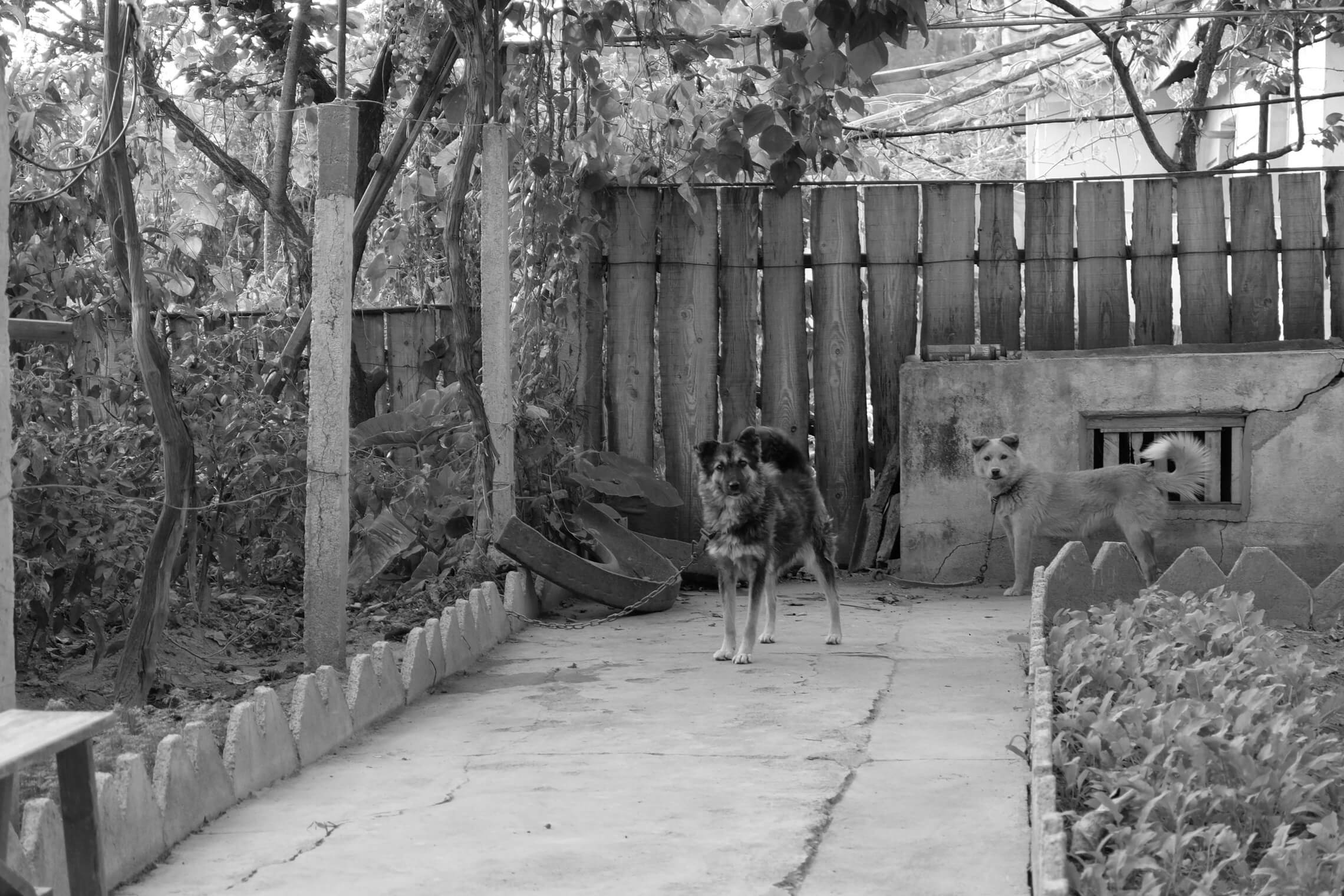 North Korea Gallery - Image 37