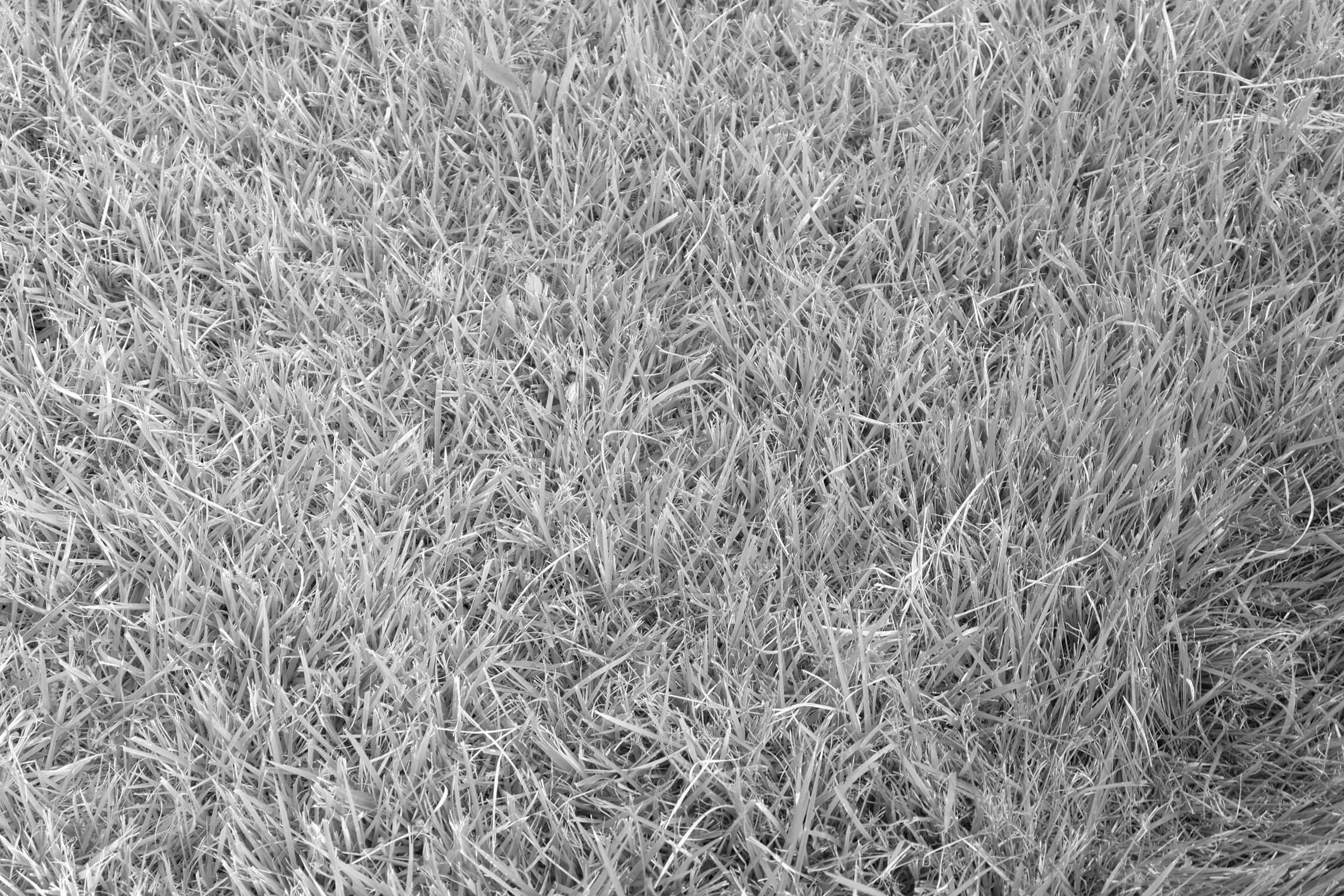 North Korea Gallery - Image 40