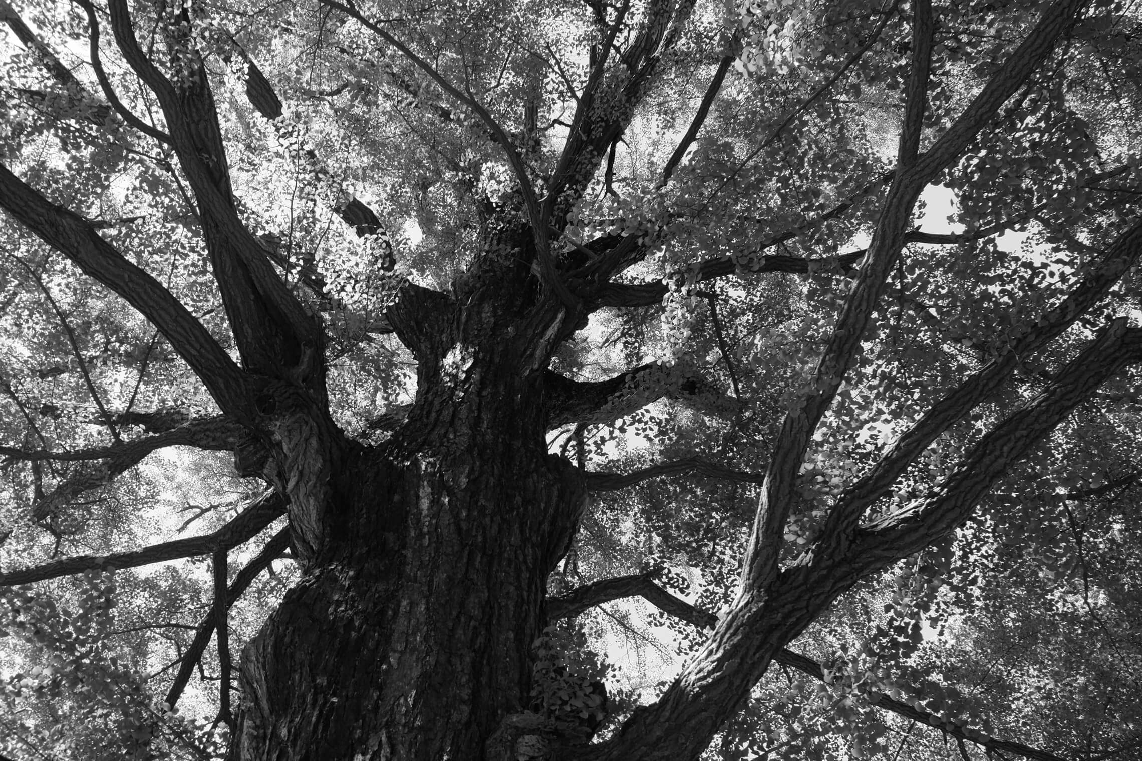 North Korea Gallery - Image 7